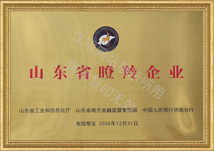山东省瞪羚企业